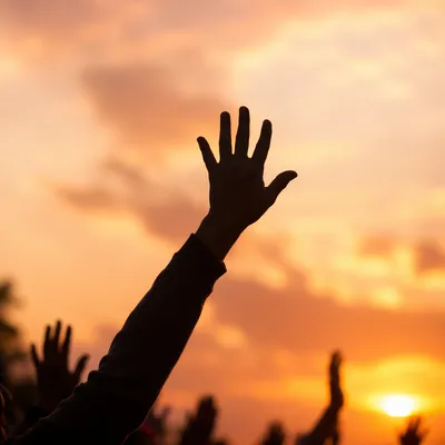 Praise Hands Silhouetted Against Golden Sunset