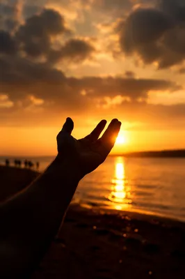 Praise Hand Lifted Toward Golden Sunset