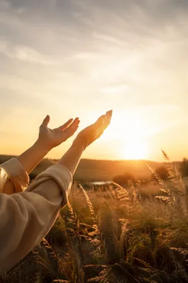 Hands Lifted in Golden Sunset Praise