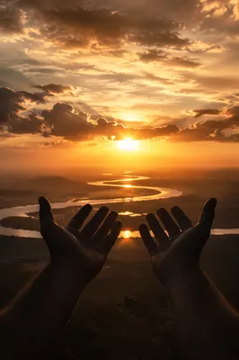 Hands Lifted in Praise at Golden Sunset