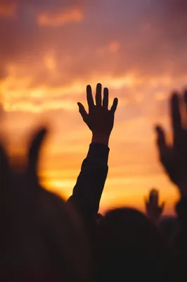 Raised Praise Hands at Golden Sunset