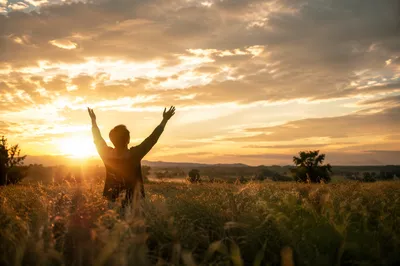 Silhouetted Figure in Golden Sunset Meadow
