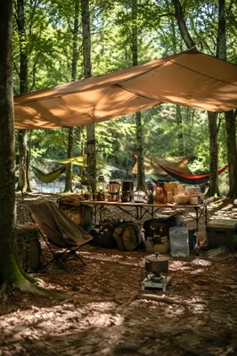 Provision Table in a Peaceful Forest Refuge