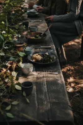 Provision Table in a Wilderness Clearing