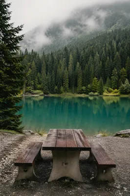 Wilderness Provision Table by Quiet Lakeshore