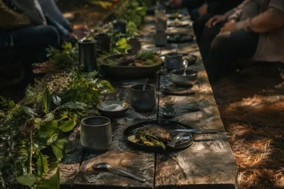 Provision Table in a Wilderness Clearing