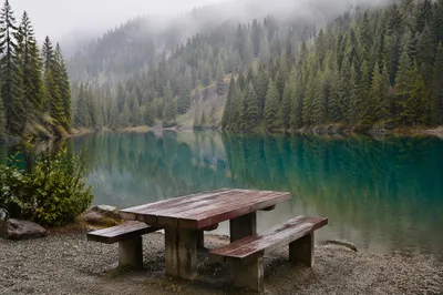 Wilderness Provision Table by Quiet Lakeshore
