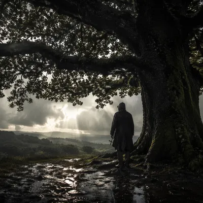 Refuge Beneath Ancient Oak in Storm