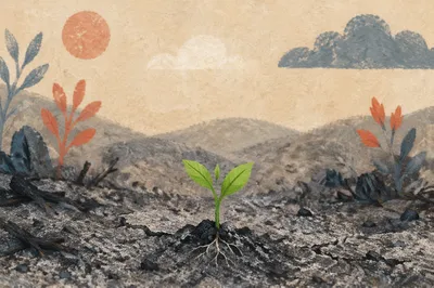 Green Shoot Rising from Ashes