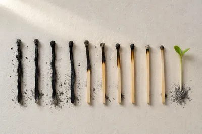 Green Shoot Rising from Charred Ashes