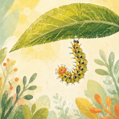 Caterpillar Hanging Beneath Green Leaf