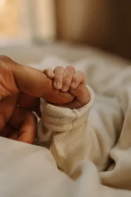 Newborn Hand Holding Adult Finger in Trust