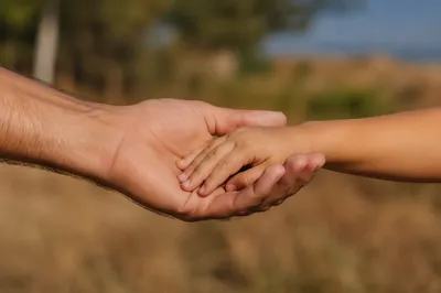 Trusting Child Hand in Adult Care