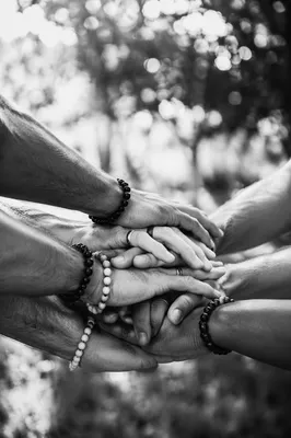 Diverse Hands Joined in Hopeful Unity