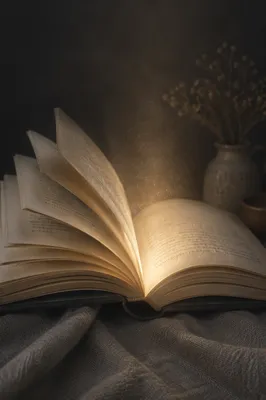 Golden Wisdom Light From Open Book