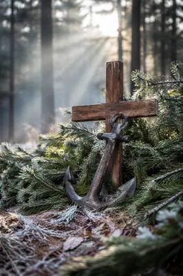 Anchor and Cross Among Frosted Evergreens