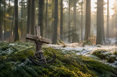 Anchor and Cross Hope in Evergreens