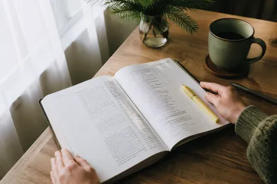 Evergreen Bible Study Workbook by Window