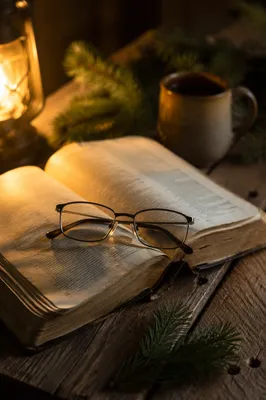 Warm Bible Reading Glasses with Evergreen Sprigs