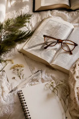 Open Bible with Reading Glasses and Evergreens