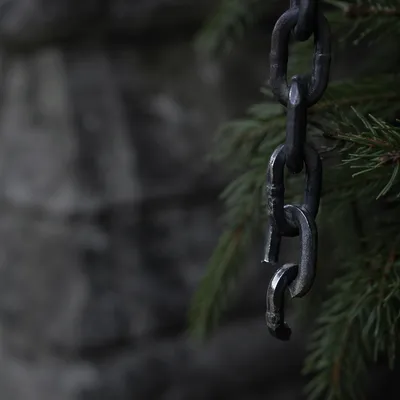 Broken Iron Chain Beside Evergreen Bough