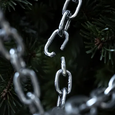 Broken Steel Chains Against Evergreen Hope