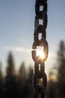 Broken Chain Link in Golden Sunlight