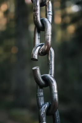 Broken Chain Freedom in Evergreen Light