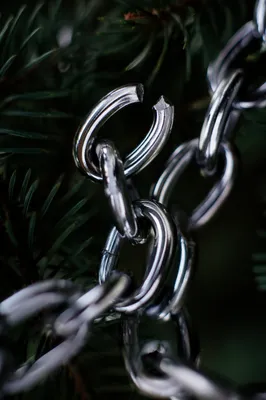 Broken Steel Chains Against Evergreen Bokeh
