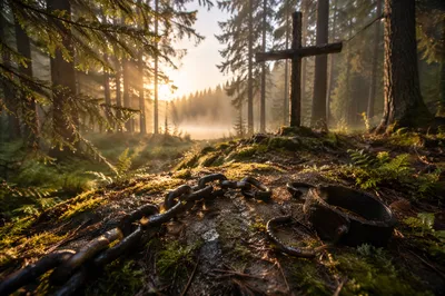 Broken Chains Beneath Evergreen Cross