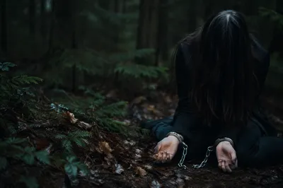 Broken Chains in Evergreen Forest Freedom