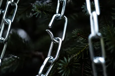 Broken Steel Chains Against Evergreen Pines