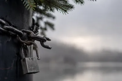 Broken Chains and Evergreen Hope