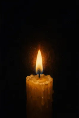 Burning Beeswax Candle in Quiet Darkness