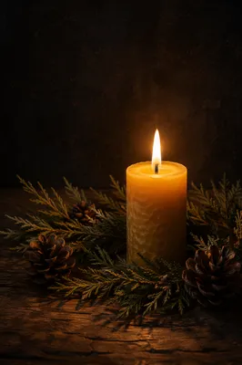 Evergreen Candlelight for Quiet Faith Reflection