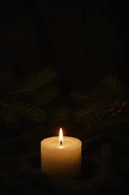 Burning Candle in Dark Evergreen Stillness