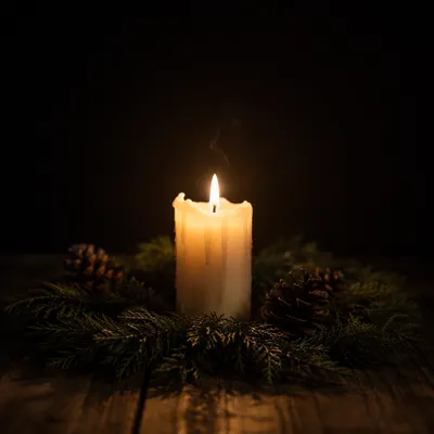 Burning Candle with Evergreen in Darkness