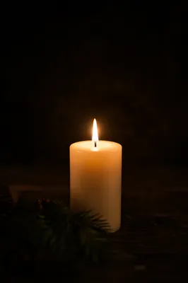 Burning Candle of Quiet Evergreen Faith
