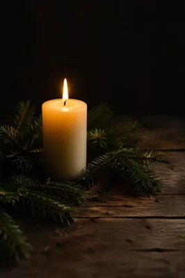 Burning Candle with Evergreen in Quiet Faith