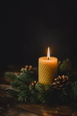Burning Beeswax Candle with Evergreen Hope