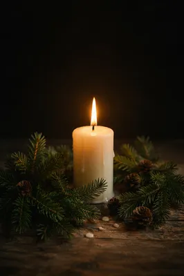Burning Candle with Evergreen in Darkness