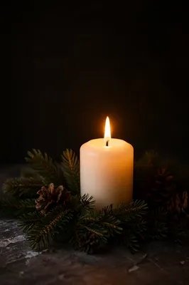 Burning Candle with Evergreen in Darkness