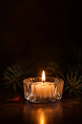 Burning Candle with Evergreen in Quiet Faith