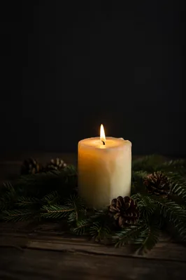 Burning Candle with Evergreen in Darkness
