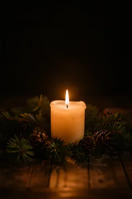 Burning Candle with Evergreen in Darkness