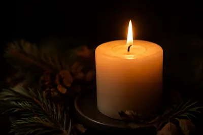 Burning Candle with Evergreen in Darkness