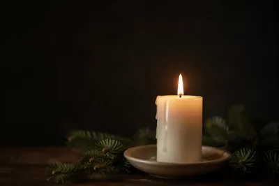 Burning Ivory Candle with Evergreen Sprigs