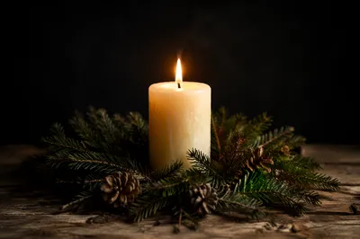 Ivory Candlelight with Evergreen in Darkness