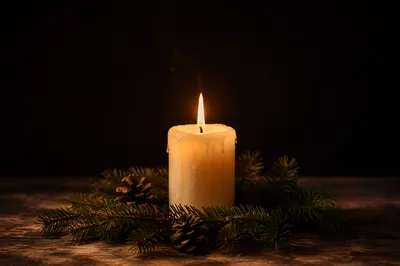 Burning Candle with Evergreen in Darkness