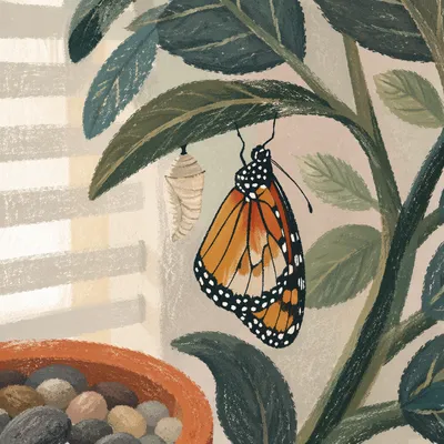 New Butterfly Resting Beneath Evergreen Leaf